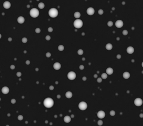 Eine quantitative Phasenmikroskopie-Aufnahme von biomolekularen Kondensaten, die aus RNA und vier verschiedenen RNA-bindenden Proteinen rekonstituiert wurden.