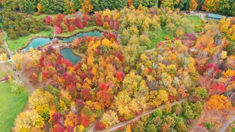 Der Forstbotanische Garten der TU Dresden in Tharandt. 