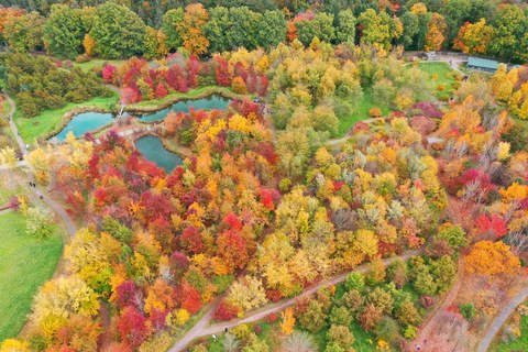 Der Forstbotanische Garten der TU Dresden in Tharandt. 