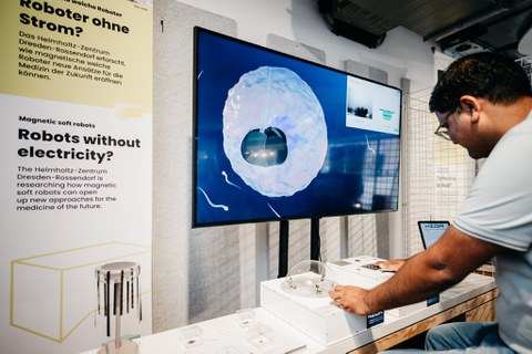 Person vor Display mit Gehirnabbildung