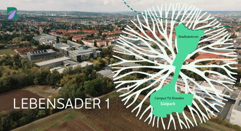 Screenshot from a video on Buga 2033