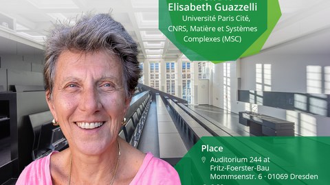 Professorin Guazzelli in einer Fotomontage im Fritz-Foerster-Bau