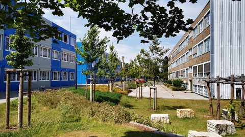 Das Schulgelände der Universitätsschule Dresden mit blau-grauem Containergebäude, DDR-Altbau und gestaltetem Außengelände als grünes Atelier im Sonnenschein.