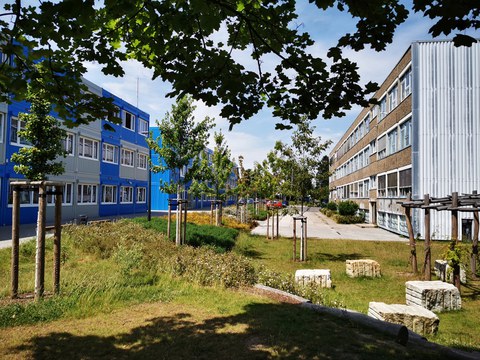Das Schulgelände der Universitätsschule Dresden mit blau-grauem Containergebäude, DDR-Altbau und gestaltetem Außengelände als grünes Atelier im Sonnenschein.