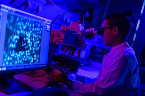 Fotoaufnahme eines Wissenschaftlers, der an einem Mikroskop arbeitet. Im Vordergrund ist ein Bildschirm abgebildet.