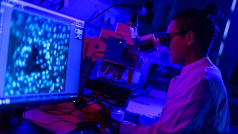 Fotoaufnahme eines Wissenschaftlers, der an einem Mikroskop arbeitet. Im Vordergrund ist ein Bildschirm abgebildet.