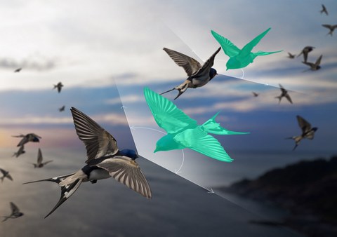 The trick is that auxiliary degrees of freedom — shown here as green birds — give the theory the flexibility it needs to precisely describe even these exceptions to Newton’s law. 