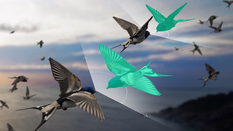 The trick is that auxiliary degrees of freedom — shown here as green birds — give the theory the flexibility it needs to precisely describe even these exceptions to Newton’s law. 