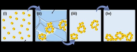 Schematische Darstellung des Gefrier-Auftau-Verfahrens