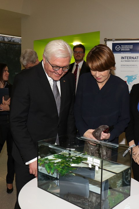 Bundespräsident Frank-Walter Steinmeier und Axolotl