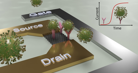 Schematische Darstellung des Konstruktionsprinzips eines Sensors zum Direktnachweis von SARS-CoV-2-Viren