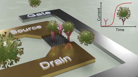 Schematische Darstellung des Konstruktionsprinzips eines Sensors zum Direktnachweis von SARS-CoV-2-Viren