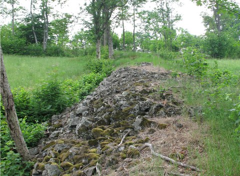 Lesesteinwall Geising