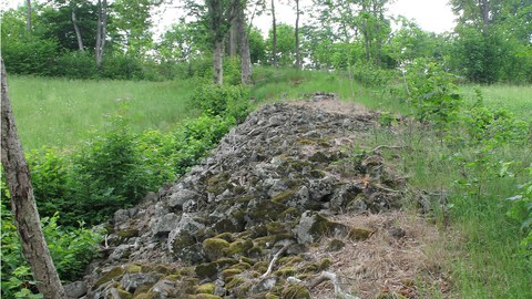 Lesesteinwall Geising