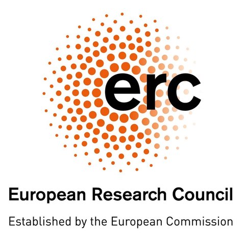 Logo des Europäischen Forschungsrates (ERC)