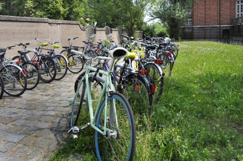Bild mit Fahrrädern auf dem Campus
