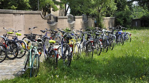 Zwischen einer Mauer und einer Wiese verläuft von links unten nach rechts oben ein gepflasterter Weg, auf dem beidseitig viele Fahrräder angeschlossen sind.