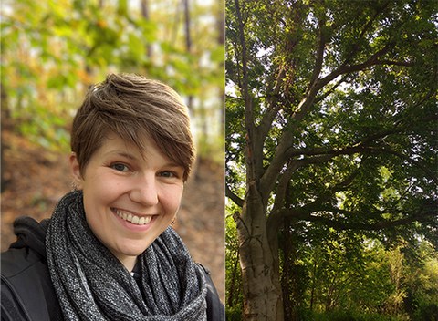 Fotocollage: rechts Wald, links das Porträtfoto von Solveig Nitzke