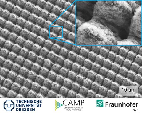 Mikroskopaufnahme einer großflächigen, zwei- und dreistufigen multi-skaligen Struktur mit multifunktionalen Oberflächeneigenschaften