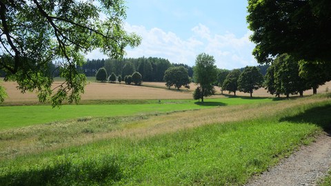 Vogtland Bad Brambach