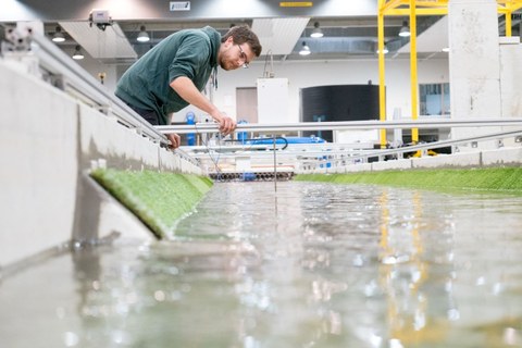 Im Vordergrund ein Wasserkanal in einer Versuchshalle. Im Hintergrund arbeitet ein junger Mann mit Brille an einem Versuchsaufbau im Wasser.