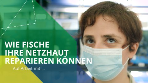 Portraitaufnahme einer Frau, die einen Mund-Nasen-Schutz trägt. Auf dem Bild befinden sich grafische Elemente und folgender Text: "Wie Fische ihre Netzhaut reparieren können, Auf Arbeit mit ..."