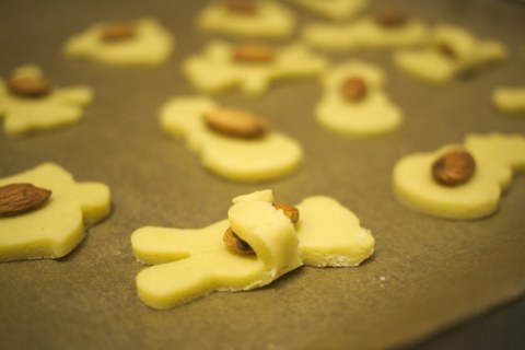 Plätzchen auf dem Blech