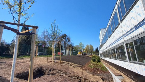 Im April beginnt auch die Gestaltung der Außenanlagen. Rabatten werden angepflanzt, Bäume gesetzt und Rasen gesät.