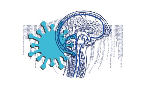 Grafik-Collage aus einem gezeichneten Querschnitt durch einen menschlichen Kopf und einem übergroßen Corona-Virus