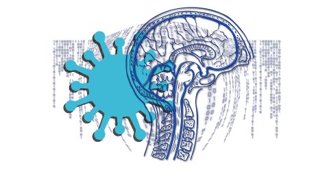 Grafik-Collage aus einem gezeichneten Querschnitt durch einen menschlichen Kopf und einem übergroßen Corona-Virus
