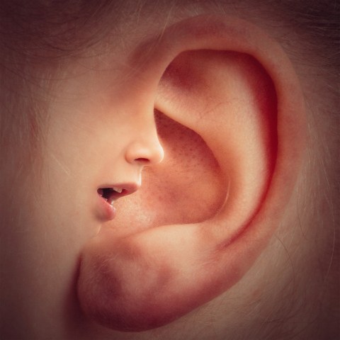 Fotocollage aus einem menschlichen Ohr, in das ein vereinfachtes Gesicht hineinspricht