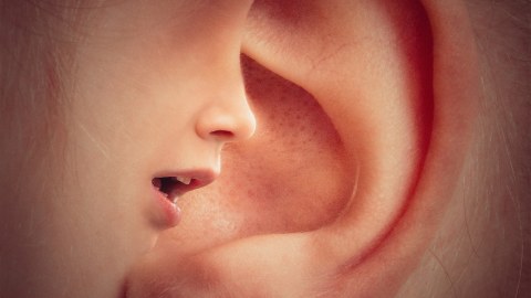 Fotocollage aus einem menschlichen Ohr, in das ein vereinfachtes Gesicht hineinspricht
