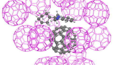 ortmann_nature_structure