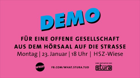 Demo Stura