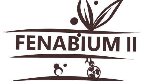 Logo Fenabium II