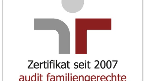Logo audit