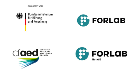 Logos BMBF_cfaed_ForLab