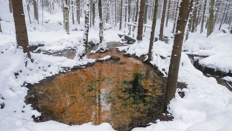 Geheimnisvoll gefärbt ist die Schwefelquelle (Sirný pramen) im tschechischen Teil des Lausitzer Berglands. Der Name ist jedoch irreführend, denn nicht Schwefel, sondern Bakterien und Eisenoxid sind an der Färbung schuld.