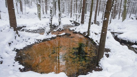 Geheimnisvoll gefärbt ist die Schwefelquelle (Sirný pramen) im tschechischen Teil des Lausitzer Berglands. Der Name ist jedoch irreführend, denn nicht Schwefel, sondern Bakterien und Eisenoxid sind an der Färbung schuld.