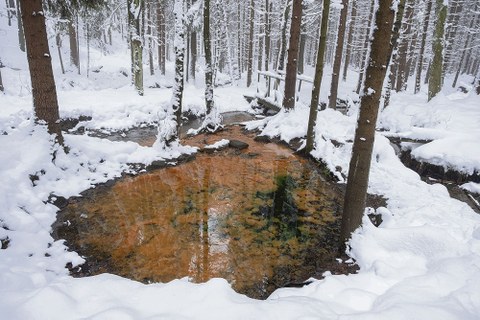 Geheimnisvoll gefärbt ist die Schwefelquelle (Sirný pramen) im tschechischen Teil des Lausitzer Berglands. Der Name ist jedoch irreführend, denn nicht Schwefel, sondern Bakterien und Eisenoxid sind an der Färbung schuld.