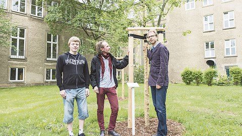 Julian Harttung von der TU-Umweltinitiative, Kay Schomburg vom Projekt "Nachhaltiger Campus" im SG 4.4 und Baumpate Prof. Stefan Gumhold, Fakultät Informatik (v.l.n.r.), an der von ihm gespendeten Steinweichsel hinter dem Gerhart-Potthoff-Bau.