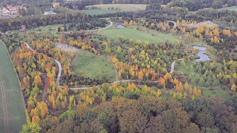 Das Nordamerika-Quartier im Forstbotanischen Garten soll auch für Sehbehinderte erlebbar werden.