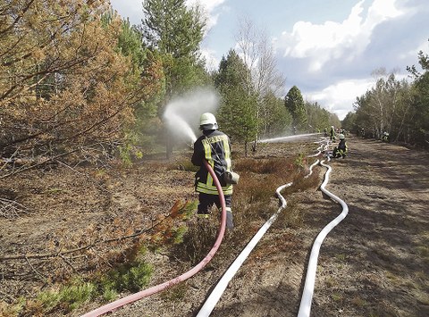 Die Waldbrandbekämpfung am Boden ist die effektivste Methode, Flammen zu löschen.