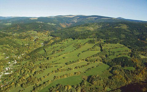 Grünes »Netzwerk« im tschechischen Riesengebirge.