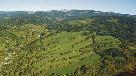 Grünes »Netzwerk« im tschechischen Riesengebirge.