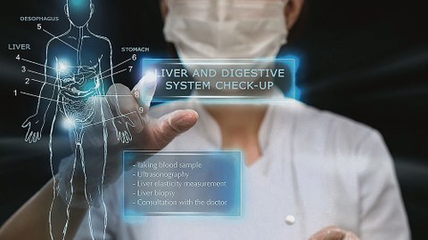 Digitale Darstellungsformen im Fokus der Medizin.