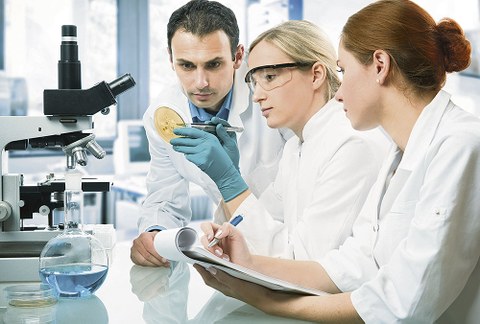Zwei weibliche, ein männlicher Wissenschaftler, an einem Labortisch sitzend, betrachten ein Objekt.