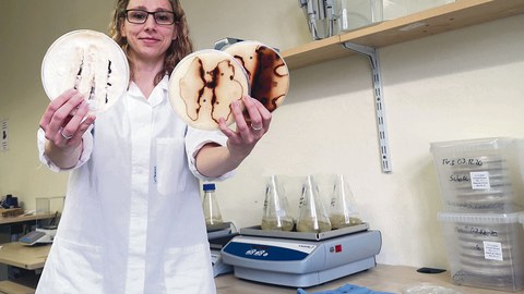 Stephanie Stange hält drei durch Marmorfäule veränderte runde Scheiben in der Hand.