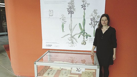 Dr. Thea Lautenschläger steht neben einer Ausstellungsvitrine.