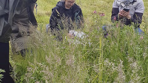 Janine Dahl, Nicole Rüsing und Julia Döring bei der Campusinventur auf der Wiese vor dem Andreas-Schubert-Bau.